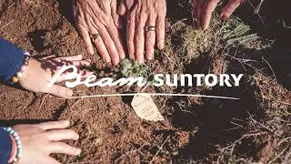 Video Beam Suntory