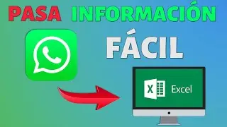 🆕👁️&zwj;🗨️ &iquest;C&Oacute;MO RECOLECTAR  INFORMACI&Oacute;N DE WHATSAPP A EXCEL?  📥🗂️📈📊📉  👁️&zwj;🗨️ F&Aacute;CIL✅