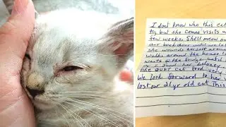 Cat returns home with a note attached to his collar, the owner then realizes what the neighbor has d