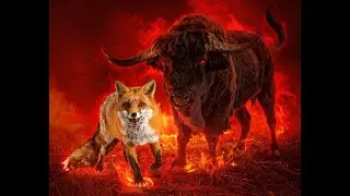 Still - Buffalo Fox