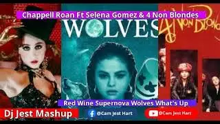 Chappell Roan Ft Selena Gomez & 4 Non Blondes Red Wine Supernova Wolves What's Up 2025 Remix