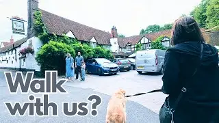 Beautiful Scenic Walk along the River Thames to The Bull Pub Sonning