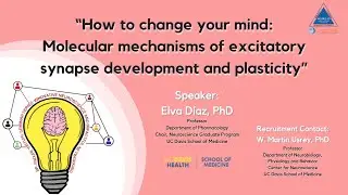 Speaker: Elva D&iacute;az (UC Davis) BP-ENDURE VSS: Innovative Neuroscience & Impactful Networking