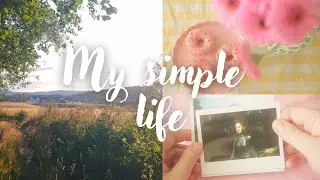 A Day in My Life in Oslo | Slow Living, Sculpture Parks & Nature Walks
