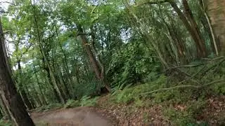 El Capitan - Surrey Hills.  Taking it nice and easy.