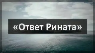 269. Ринат Абу Мухаммад «Ответ Рината»