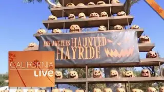 California Live is Here for the Boos at the LA Haunted Hayride | California Live | NBCLA