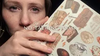 Quiet Crafting ASMR ✨️ Cozy Sticker Organization (No Talking!) 