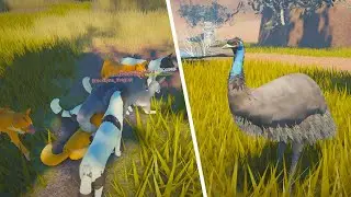 НОВАЯ игра Roblox про выживание австралийских животных | ROBLOX Wild Bushland