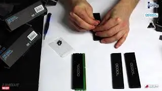 WARBOY mounts the Alphacool D-RAM module and  D-RAM cooler d.va modding