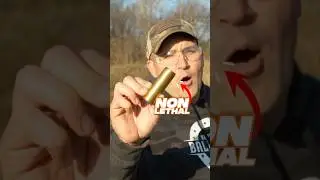 Kentucky Ballistics: Нелетальные патроны для дробовика KS23!
