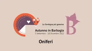 Oniferi | Autunno in Barbagia 2022
