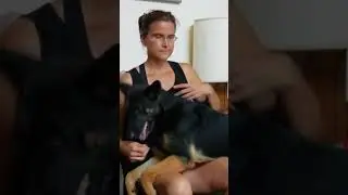 Deep Pressure Therapy Skill