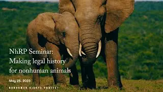 Making legal history for nonhuman animals: Seminar with the Nonhuman Rights Project (05/25/23)