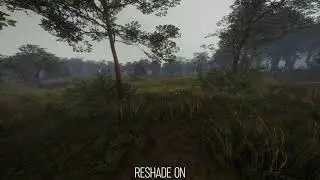 theHunter:cotw  