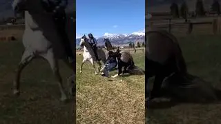 She Popped the Champagne&hellip; and the Horse Popped HER Off!
