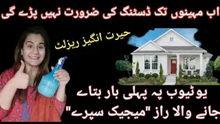 1 month dust free home guarantee | magic spray | best home and kitchen tips & tricks | money saving
