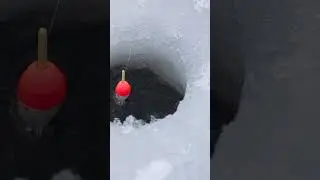 Come Fish Lake of the Woods This Ice Season | River Bend Resort #lakeofthewoods #icefishing