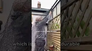 Creating a Giant Catio over the Entire Garden for the Ultimate Cat Enclosure! 🪴😻 #catio #cats