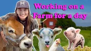 ULTIMATE FARM TO TABLE AND THE CUTEST BABY ANIMALS EVER 🐷🐮🐥🐣