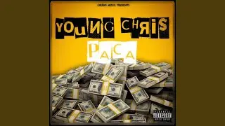 Paca