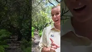 Best Women's Hiking Adventures & Travel