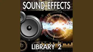 Large Crowd Talking Outside (People Talk Outdoors Exterior Background Ambience Noise Clip)...