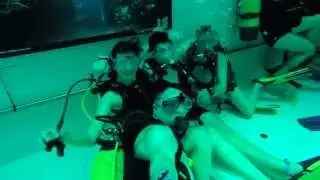 Fosse de Plongée: Nemo 33 - le Film - Version longue