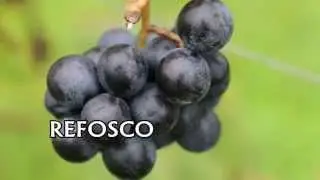 REFOSCO
