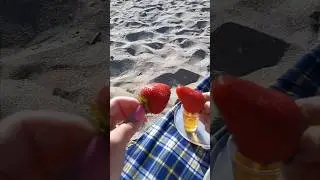 Picnic on the Beach. Caspian Sea #shorts #summer #holidays #picnic #romantic #beach #caspiansea