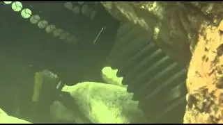 Effects of Gold Dredging on Fish