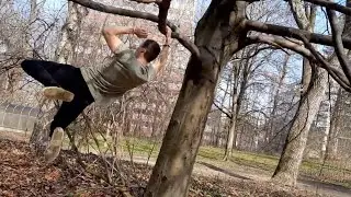 ELITE TREE FREE SOLO💪TRAINING💪🦍The German Tree Free Climber🦍