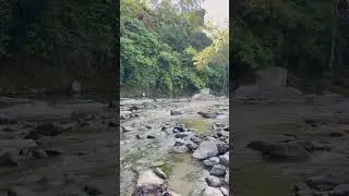 Relaxing Nature Sounds | Peaceful River Sounds for Instant Calm 🏞️✨