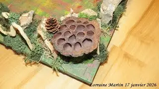 Décoration d'un plateau en bois pour placer des mangeoires d'oiseaux 17 janvier 2026 chez Lolo