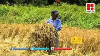 Rice collection-Civil supplies corporation issue