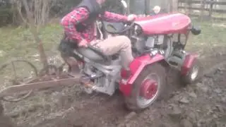 Sam na bazie dzika 2- orka