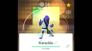 Pokemon Go Shiny Sawk/Karacl&eacute;e