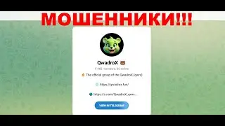 Qwadrox (QWRX) &mdash; отзывы про криптовалютный мем коин. Развод?