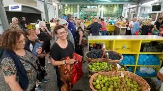 Mercado Municipal da Horta- Vendedores de fruta da ilha do Pico