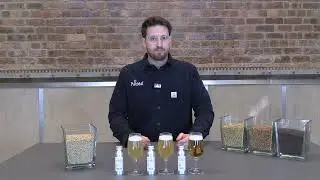 Alcohol Free Pale Malt