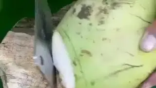 Amazing king coconut cutting skills.