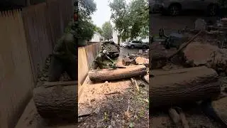 Making custom doors with a Greenworks Commercial 4.5 horsepower 82v chainsaw