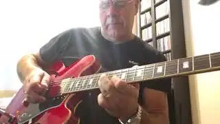Epiphone ES 335 Pro