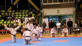 demo Polonia 2010