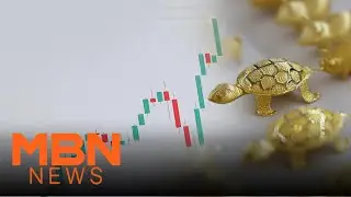 Gold Prices Hit Record High Amid Global Economic Uncertainty&mdash;Details Inside [MBN News7]