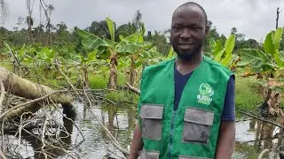 You must do this before starting a farm in Cameroon and Africa. Water table test.