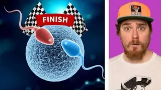 Why Are College Kids Running A Sperm Race?