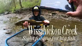 Fishing for big trout at Wissahickon Creek in Philadelphia. City limit fishing at its' finest. 2024