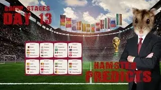 World Cup 2022 | Match Day 13 | Football predictions by animal Jasper 🐹 | Group G & H