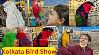 Kolkata Bird Show 2025//Bird Show At Santosh Mitra Square 2025//Bird Exhibition In Kolkata 2025.